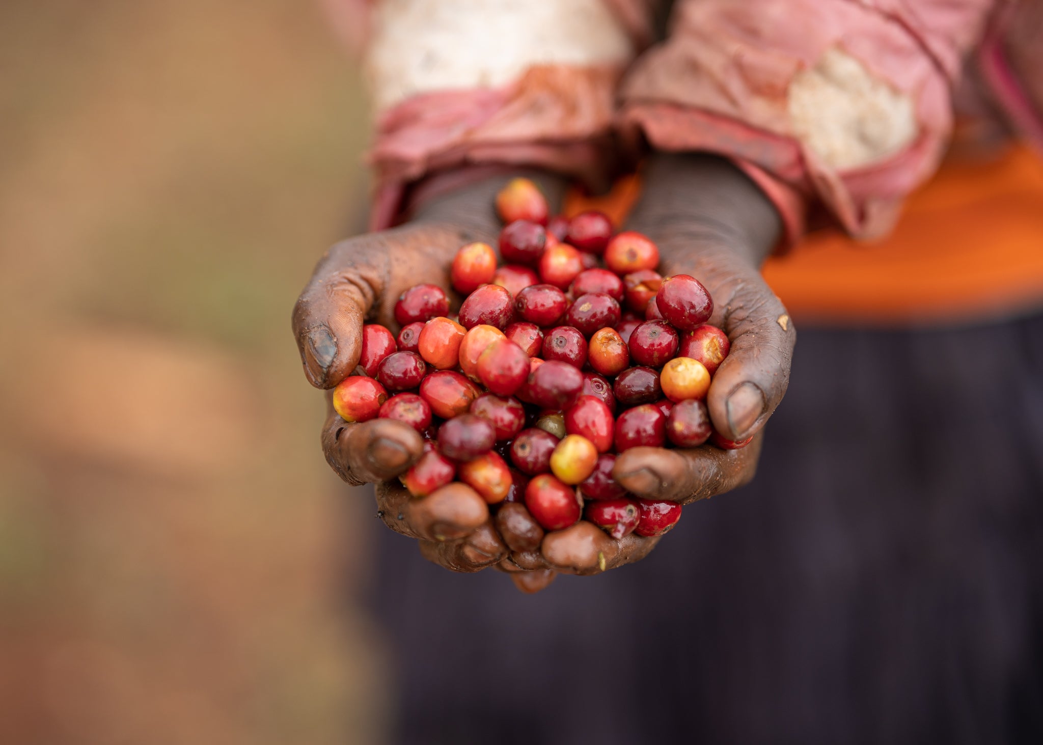 Kenya Muinami Estate