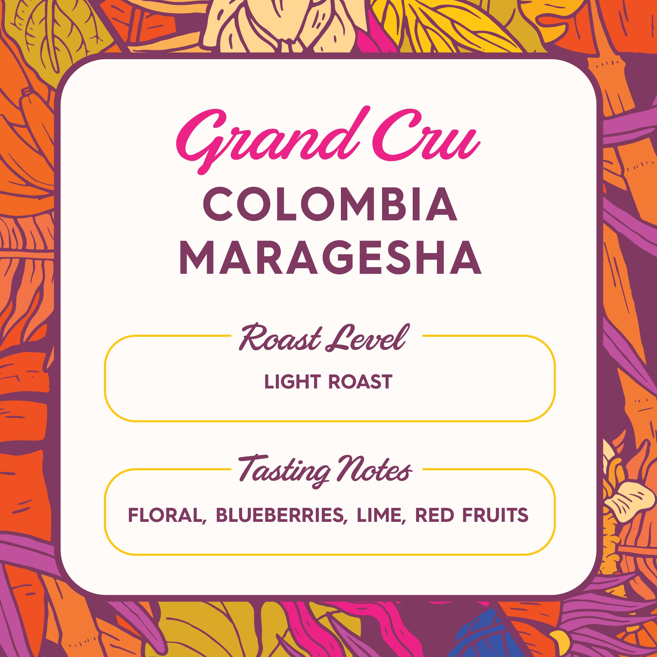 Colombia Maragesha (Grand Cru) - Online Exclusive