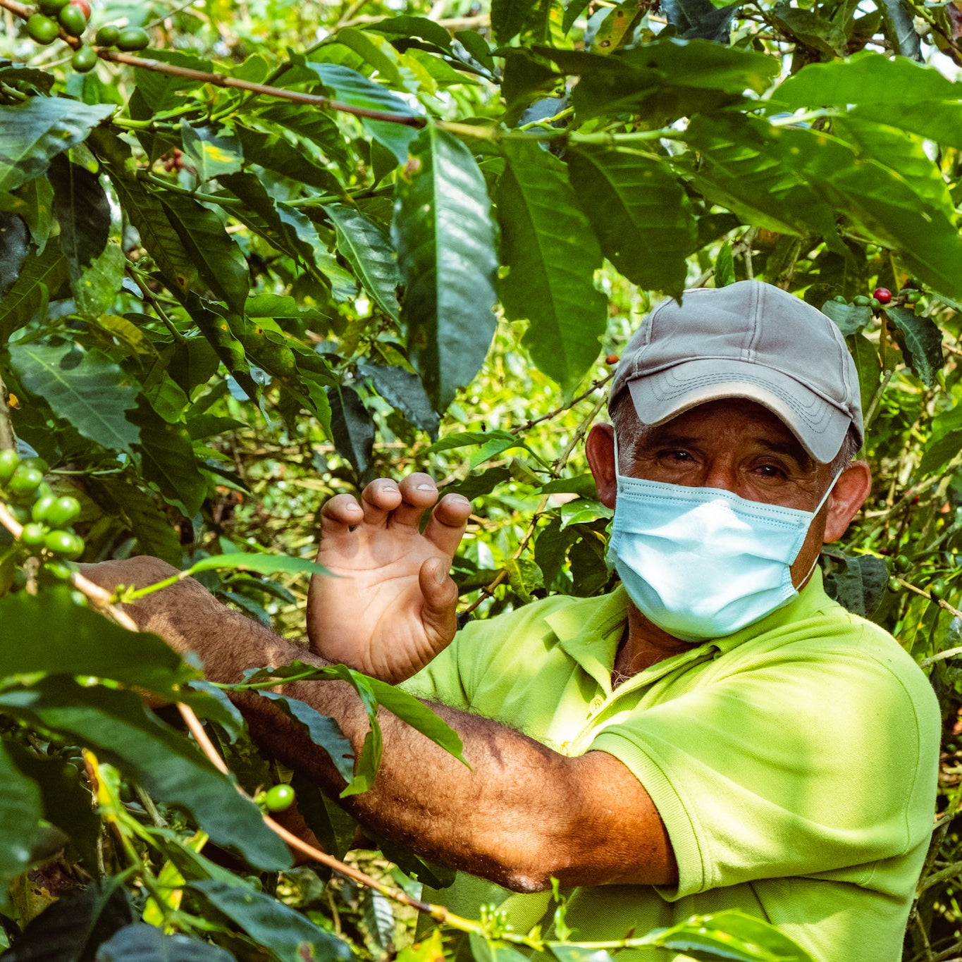Colombia Gesha (Grand Cru)