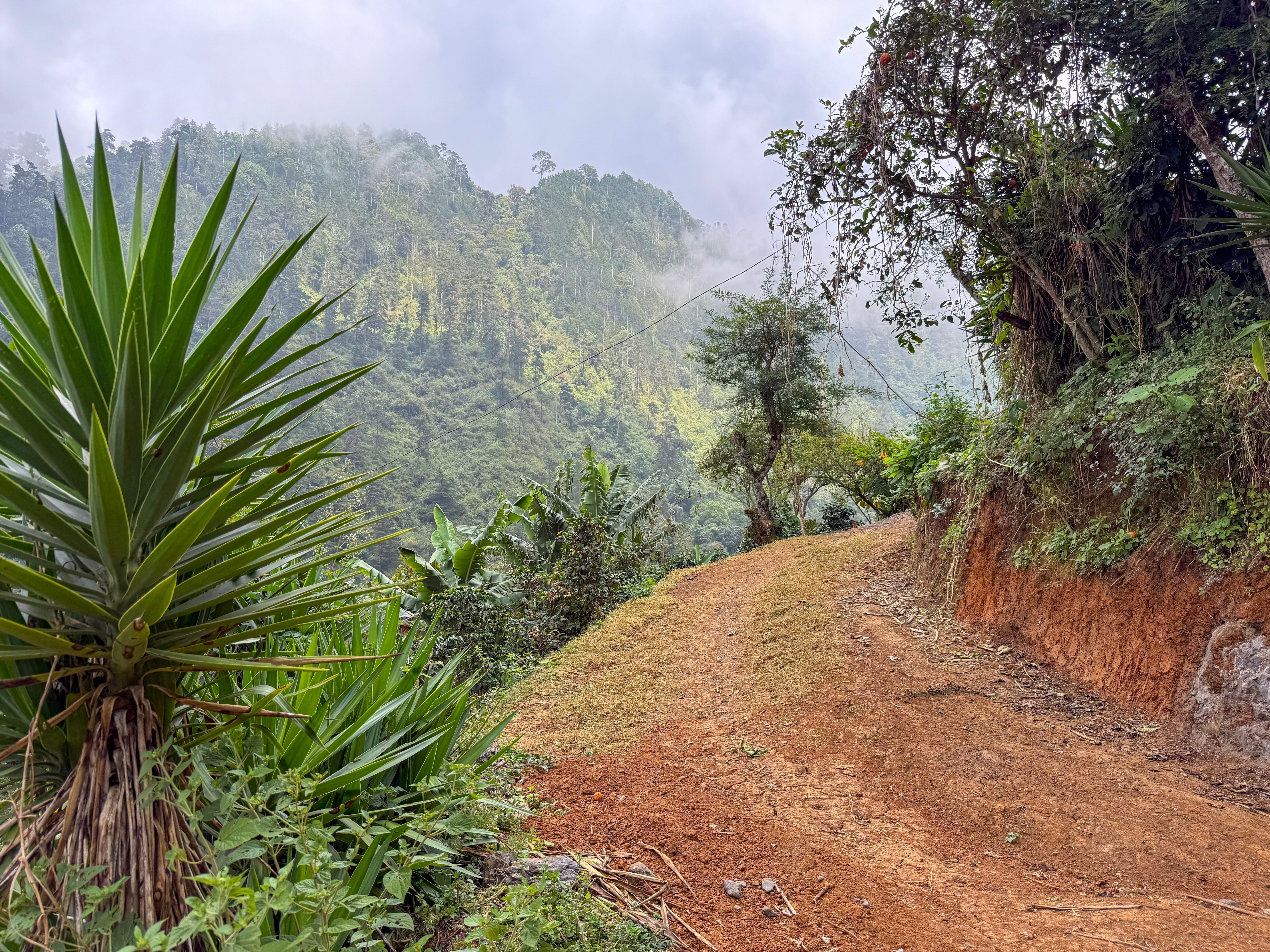 Finca La Bolsa and Our Growing Relationship with the Vides Family