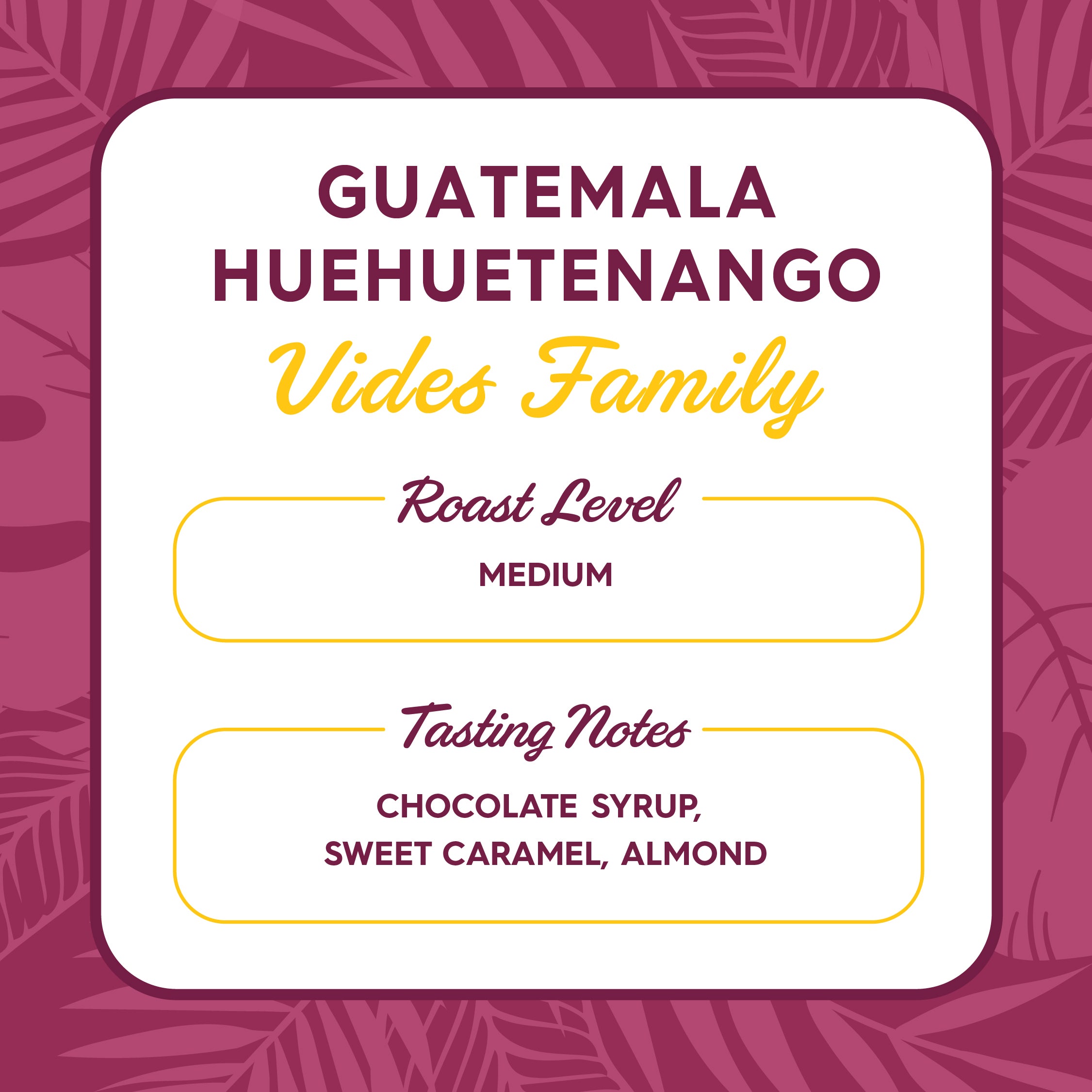 Guatemala Huehuetenago Vides Family