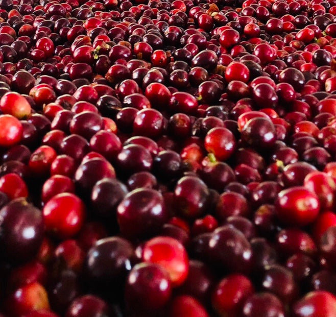 Colombia Producer Bundle French Truck Coffee