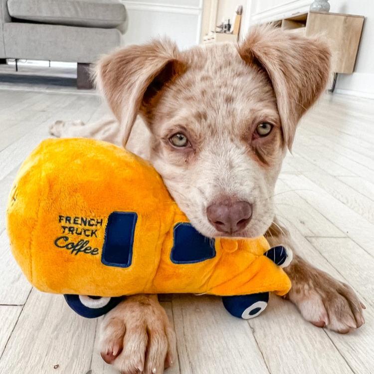 Plush Toy